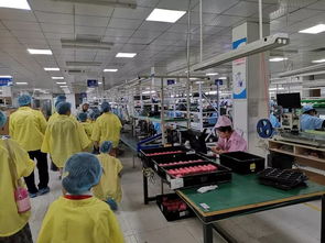 探索之旅 | 博文小学204中队彩云小队鹏雁科技实践行